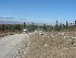 Dolly Sods